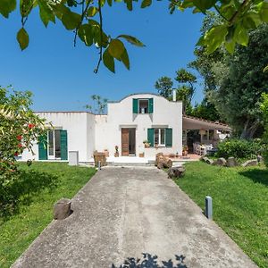 Villa Morea & Rooms In Procida
